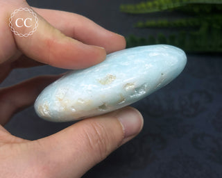 Caribbean Calcite Palm Stone #5