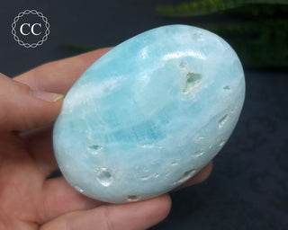 Caribbean Calcite Palm Stone #5