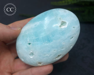Caribbean Calcite Palm Stone #5