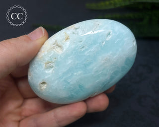 Caribbean Calcite Palm Stone #5