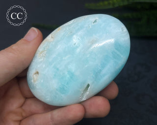 Caribbean Calcite Palm Stone #5