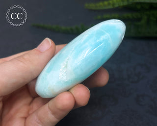 Caribbean Calcite Palm Stone #5