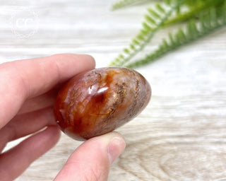 Carnelian Chunky Palm Stone #7