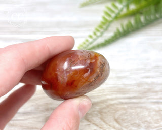 Carnelian Chunky Palm Stone #7