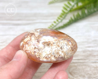 Carnelian Chunky Palm Stone #9