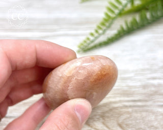 Carnelian Chunky Palm Stone #1