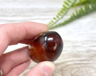 Carnelian Chunky Palm Stone #10