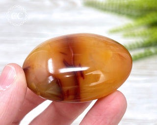 Carnelian Chunky Palm Stone #11