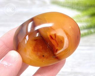 Carnelian Chunky Palm Stone #11