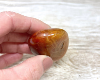 Carnelian Chunky Palm Stone #4