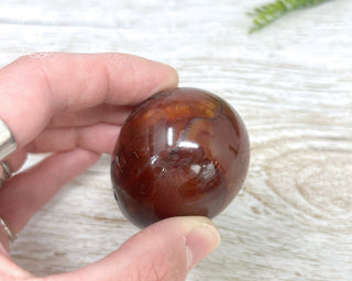 Carnelian Egg #1