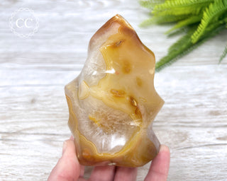 Carnelian Flame #1