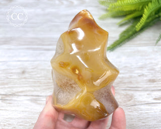 Carnelian Flame #1