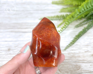 Carnelian Flame #5