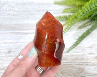 Carnelian Flame #5