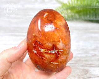 Carnelian Freeform #5