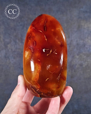 A hand holding a Carnelian Freeform from Madagascar
