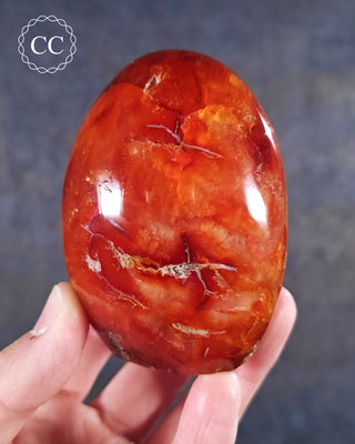 A hand holding a Carnelian Freeform from Madagascar