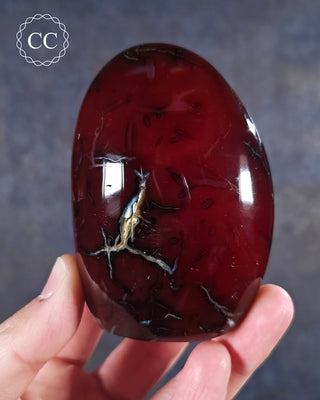 A hand holding a Carnelian Freeform from Madagascar