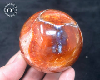 Carnelian - Orca Sphere #7