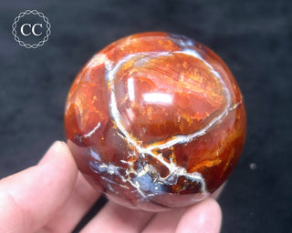 Carnelian - Orca Sphere #7