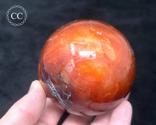 Carnelian - Orca Sphere #8