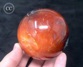 Carnelian - Orca Sphere #8