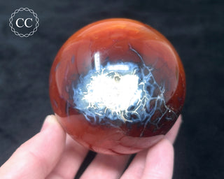Carnelian - Orca Sphere #8