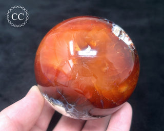 Carnelian - Orca Sphere #8