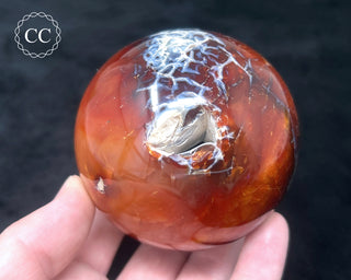 Carnelian - Orca Sphere #8