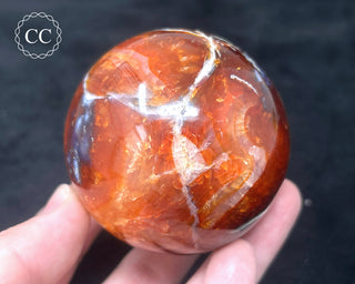 Carnelian - Orca Sphere #7