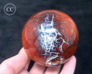 Carnelian - Orca Sphere #8