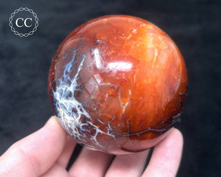 Carnelian - Orca Sphere #8