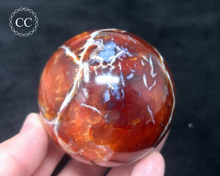 Carnelian - Orca Sphere #7