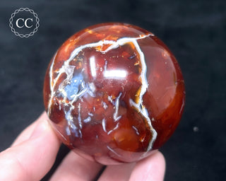 Carnelian - Orca Sphere #7