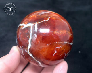 Carnelian - Orca Sphere #7