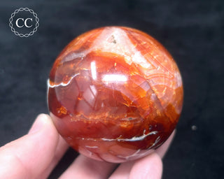 Carnelian - Orca Sphere #7