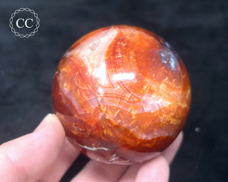 Carnelian - Orca Sphere #7