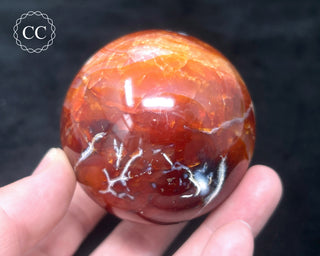 Carnelian - Orca Sphere #7