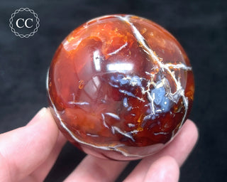 Carnelian - Orca Sphere #7