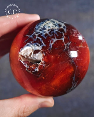 A hand holding a Carnelian Orca Sphere from Madagascar