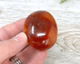 Carnelian Chunky Palm Stone #2