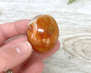 Carnelian Palm Stone #3