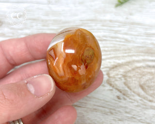 Carnelian Palm Stone #3