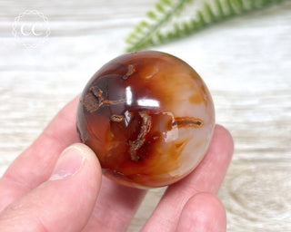 Carnelian Sphere #5