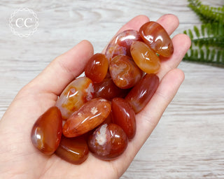 Carnelian Tumbled Crystals in hand