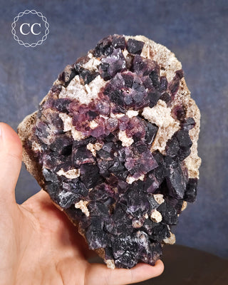 A hand holding a Fluorite specimen from the famous Illinois Fluorite locale of Cave in Rock