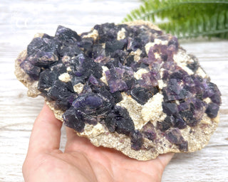 Cave in Rock Fluorite #1