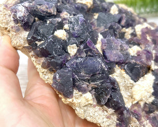 Cave in Rock Fluorite #1