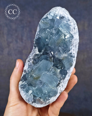 Celestite cluster from Madagascar in hand